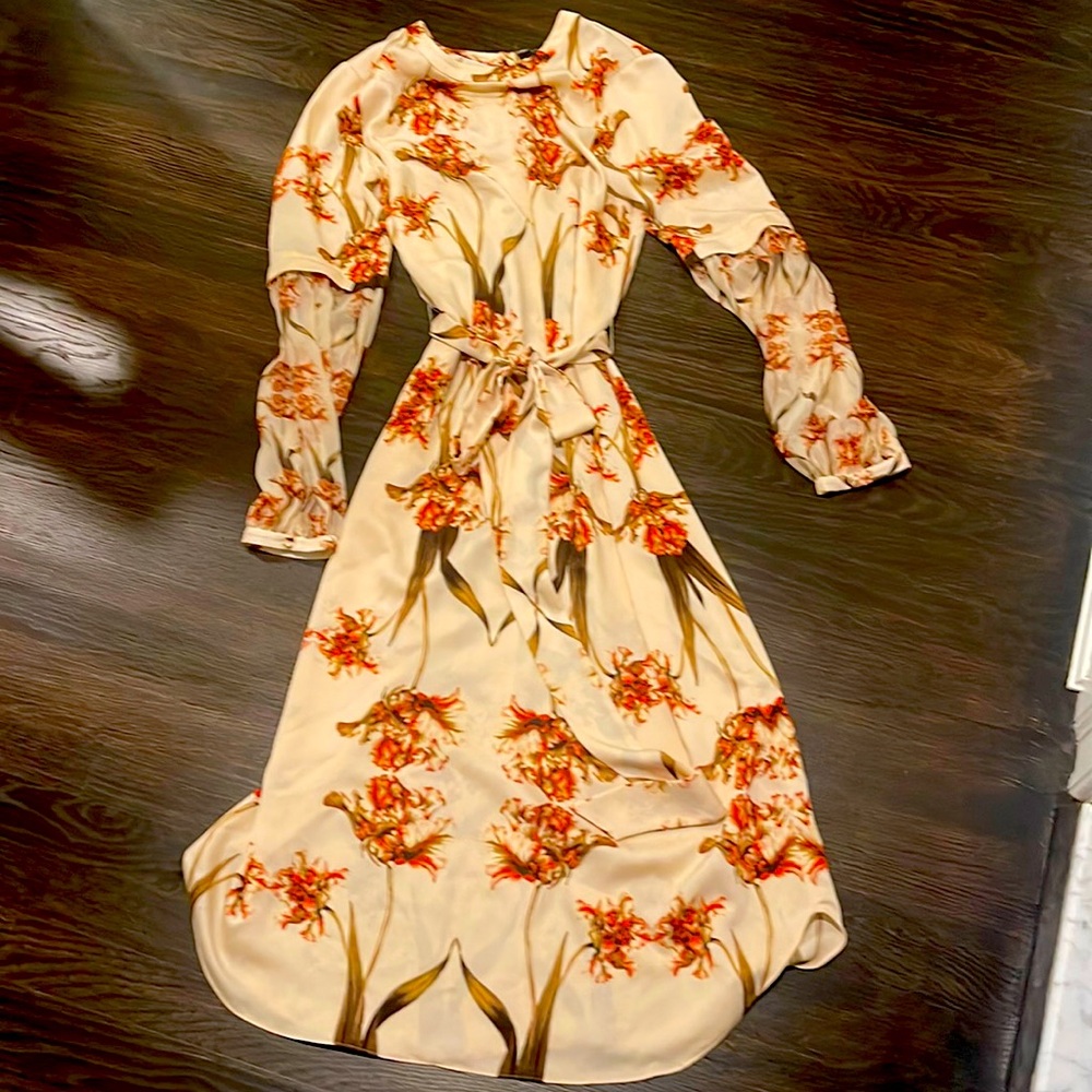 BCBG Maxazria long sleeve dress